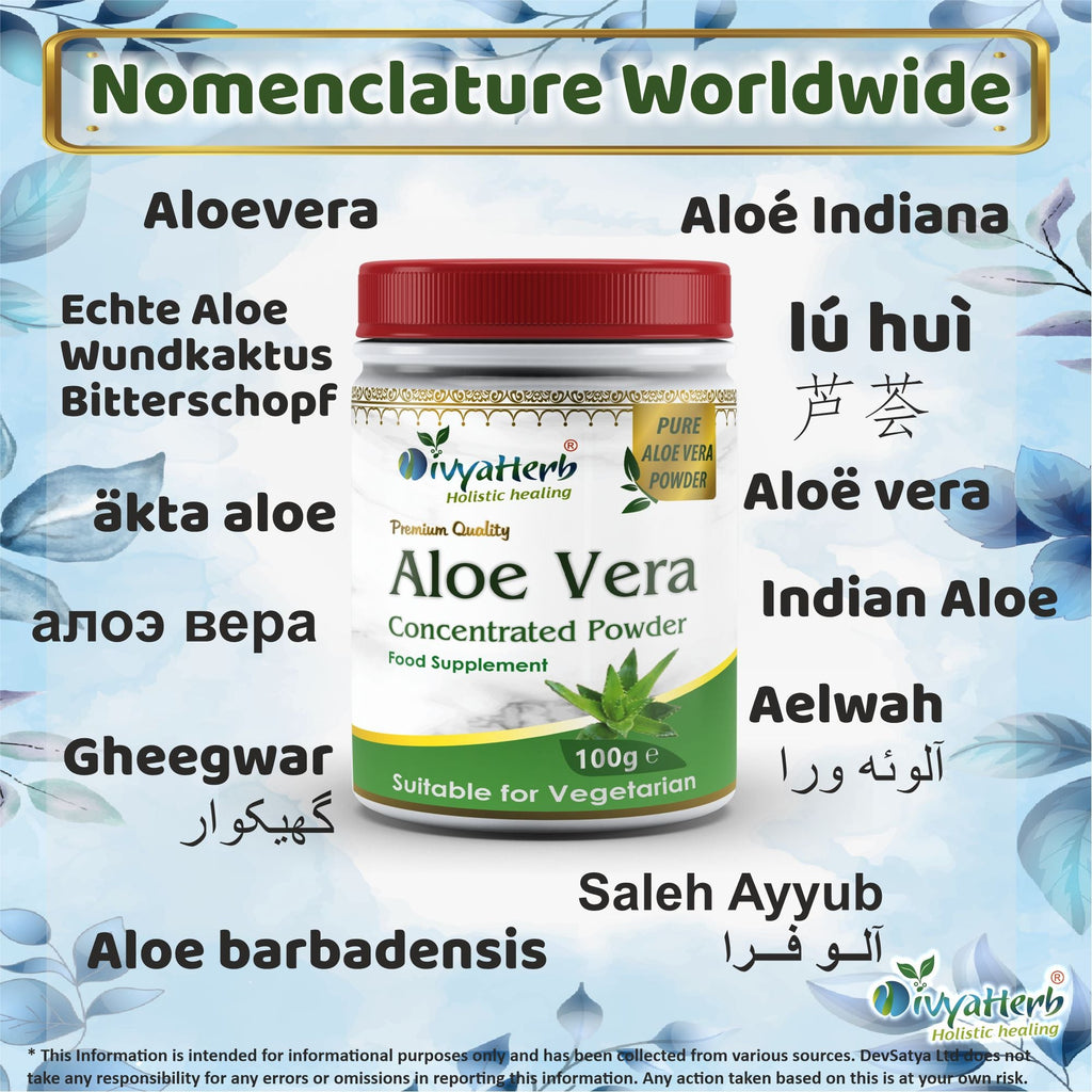 Aloe Vera Powder-2