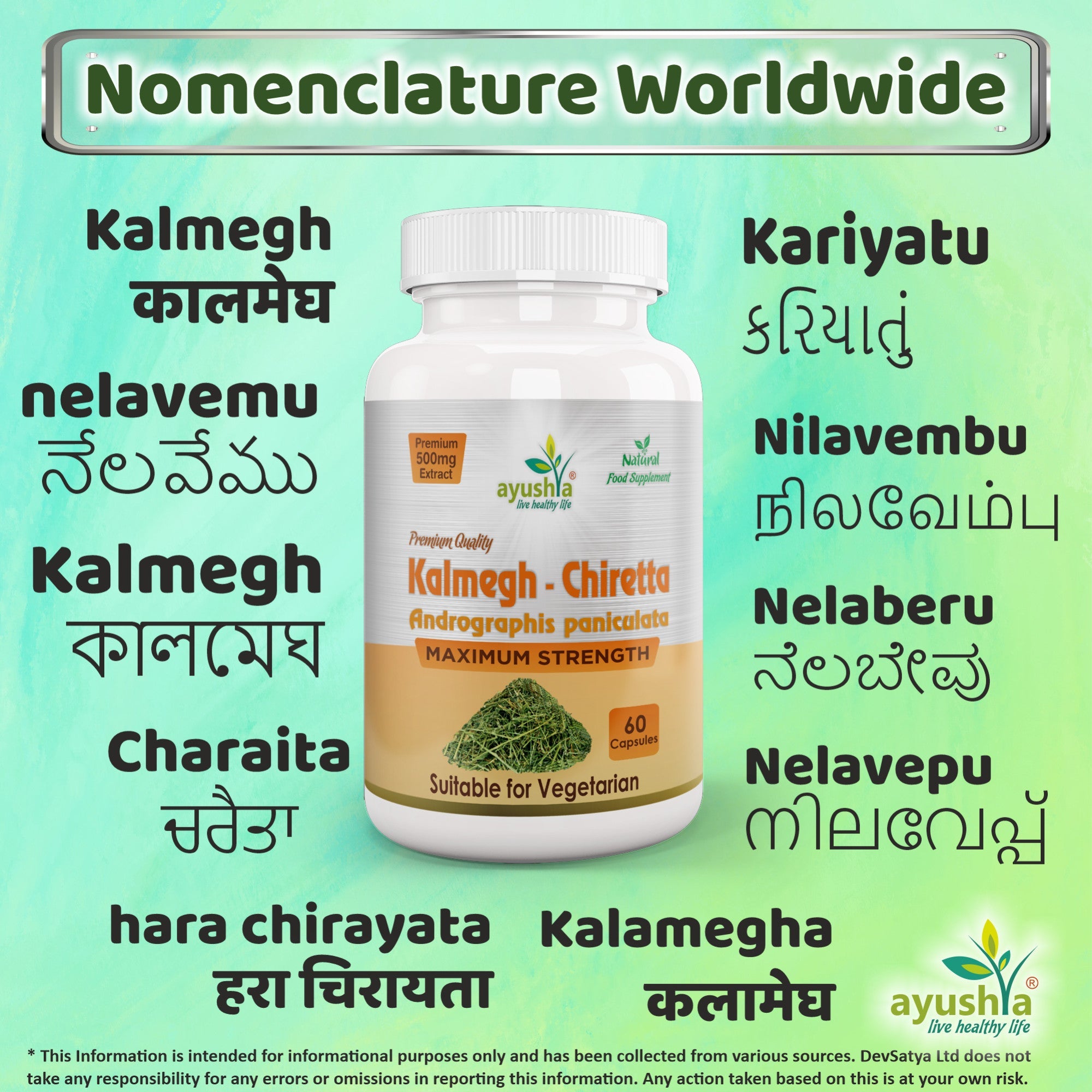 Andrographis Kalmegh Chirata Capsule-3
