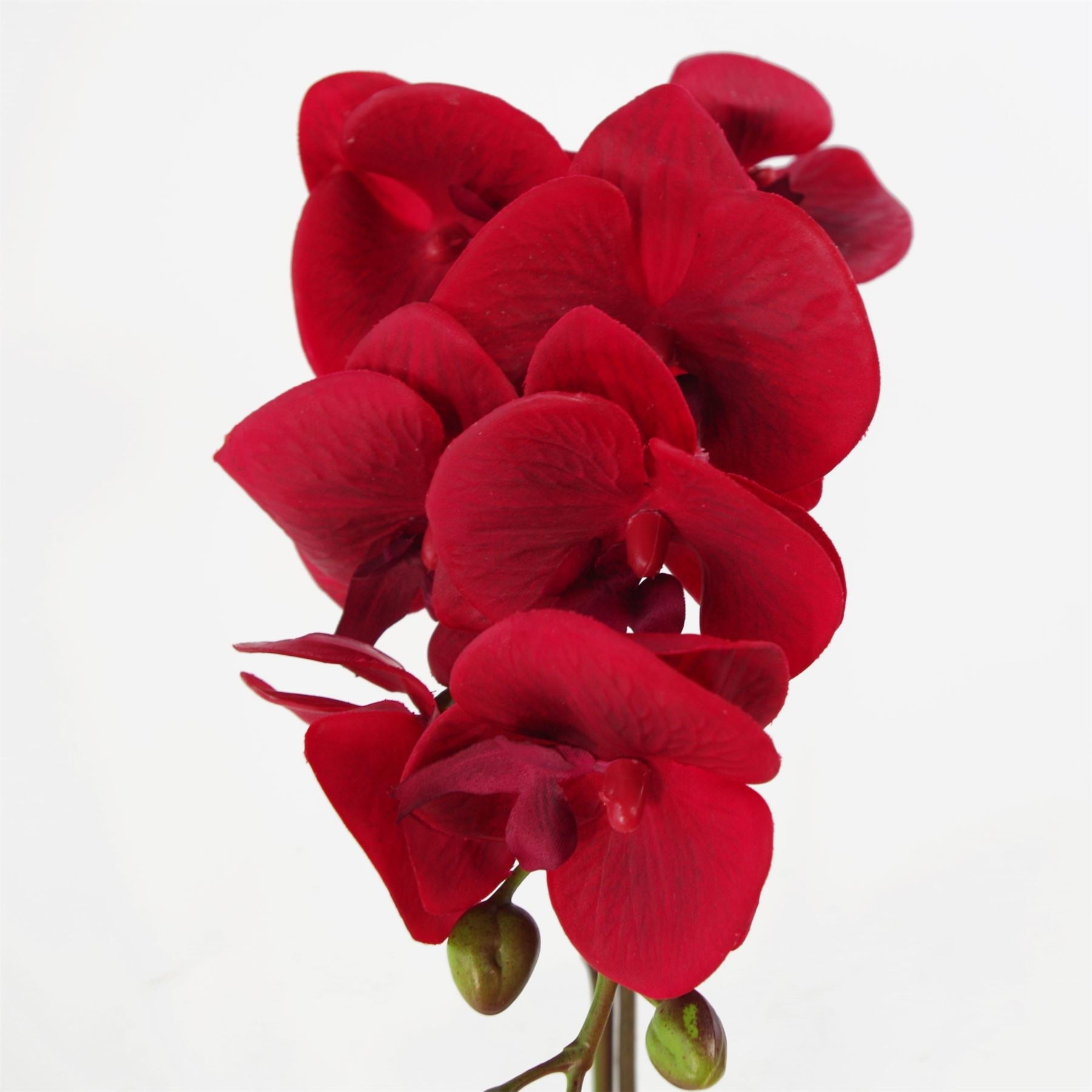 Artificial Orchid Red Silver Pot 46cm-1