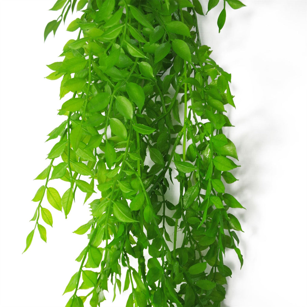 Artificial Hanging Fern Plant 100cm Pearls Fern Plant Pack x 6-2