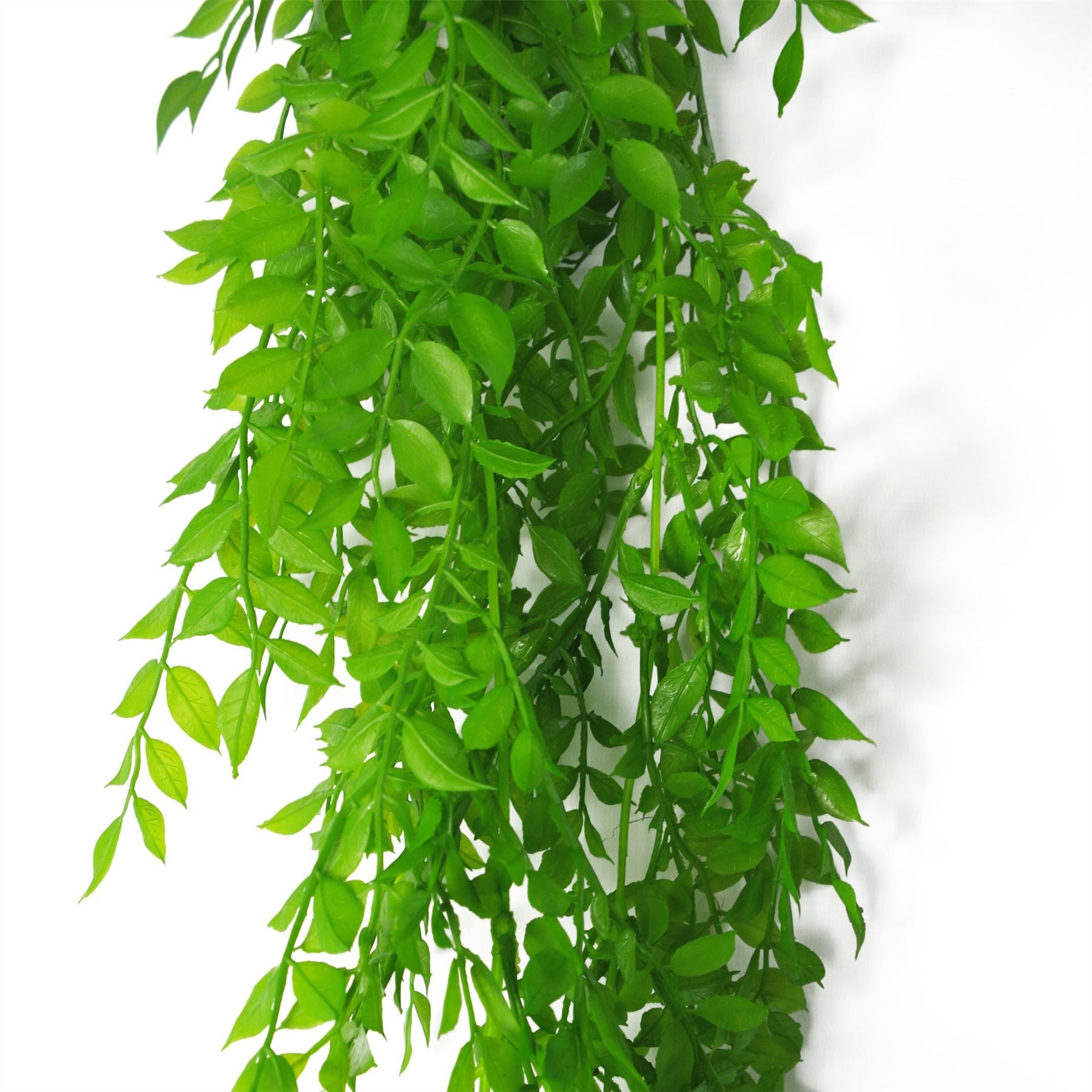 Artificial Hanging Fern Plant 100cm Pearls Fern Plant Pack x 6-2