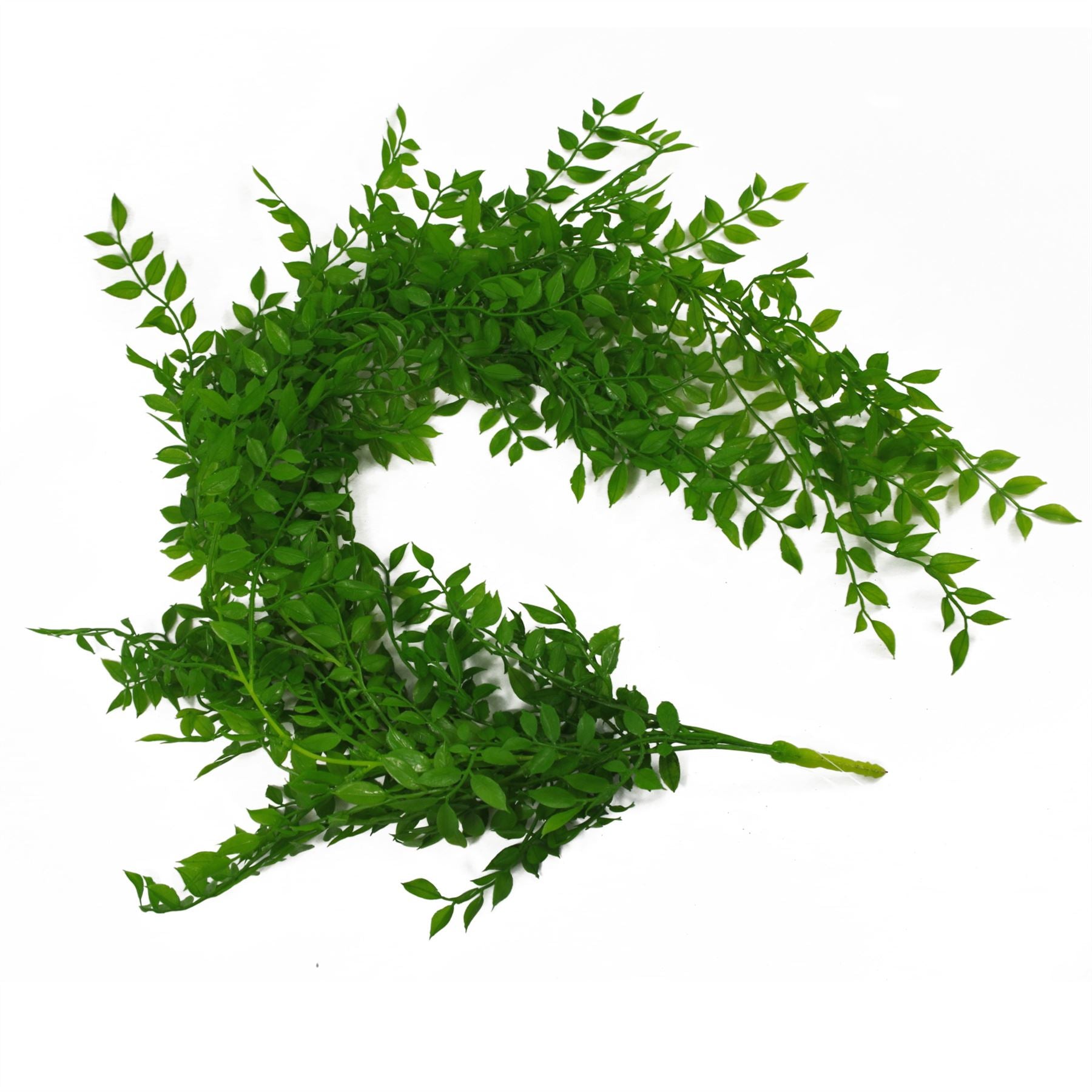 Artificial Hanging Fern Plant 100cm Pearls Fern Plant Pack x 6-4